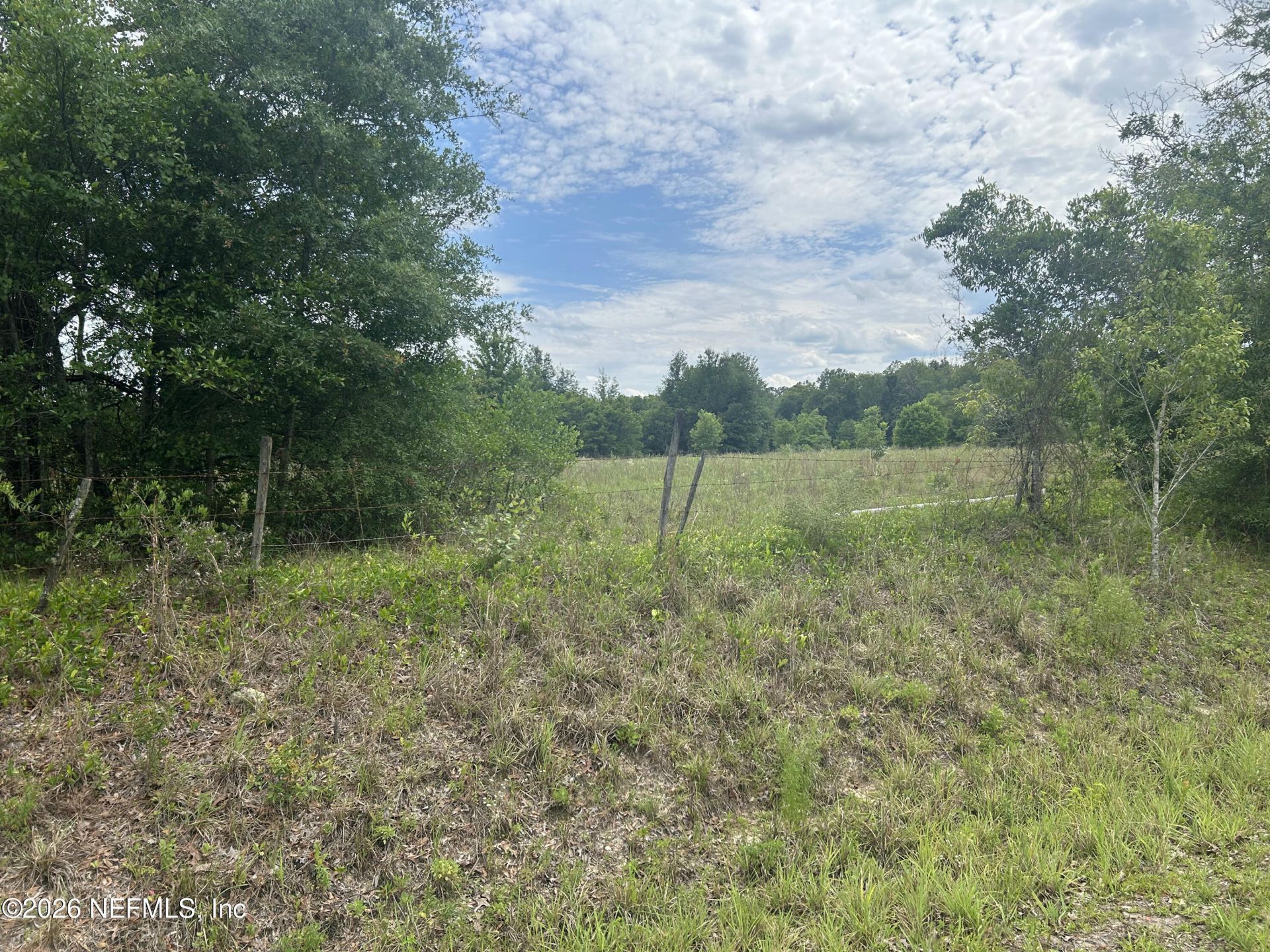 5078 Discovery Drive, Middleburg, FL 32068 Photo