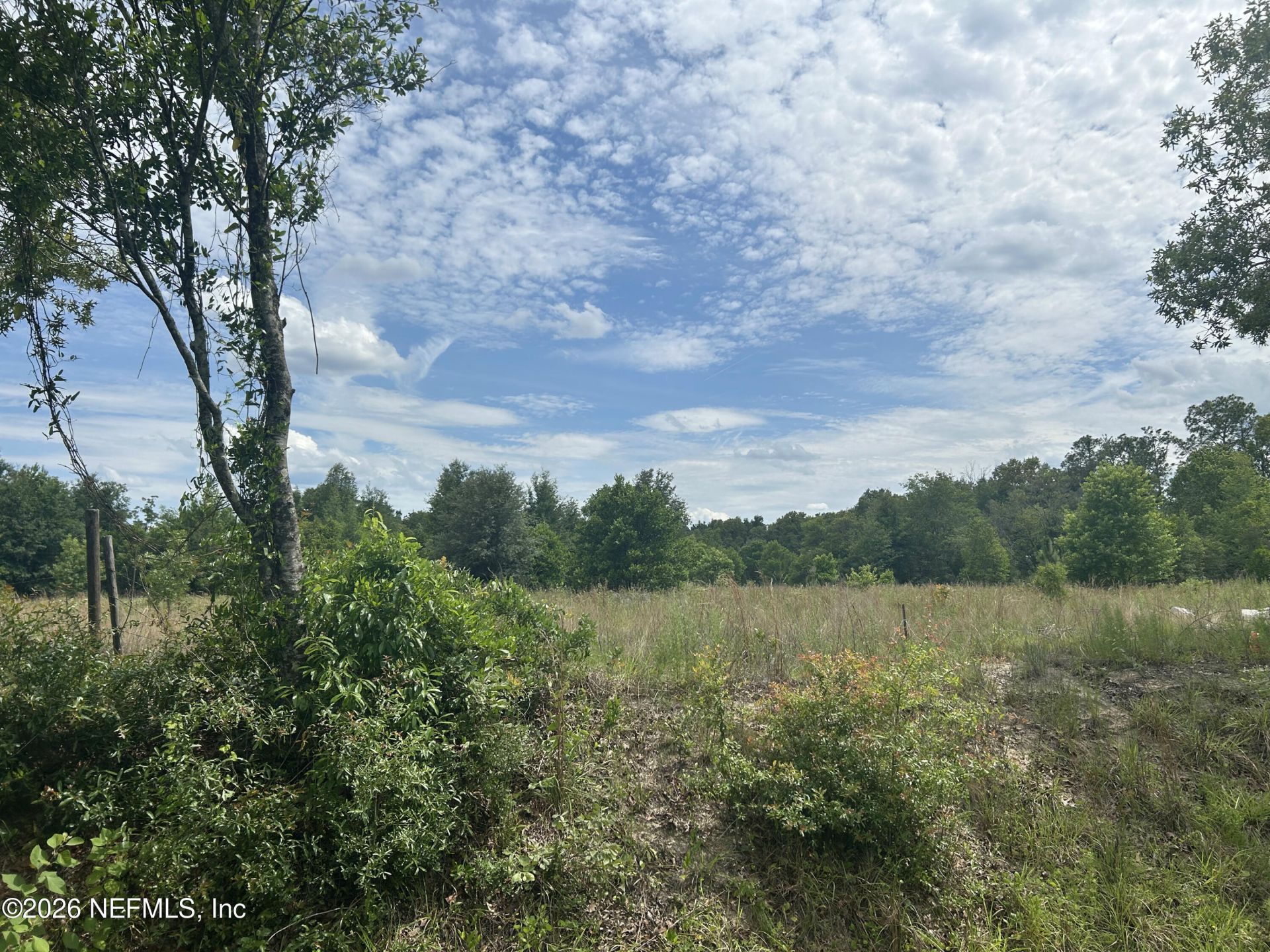 5078 Discovery Drive, Middleburg, FL 32068 Photo