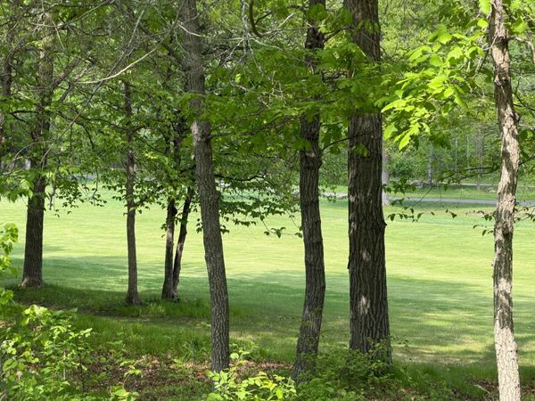 TB County Road 16 , Pequot Lakes, MN 56472