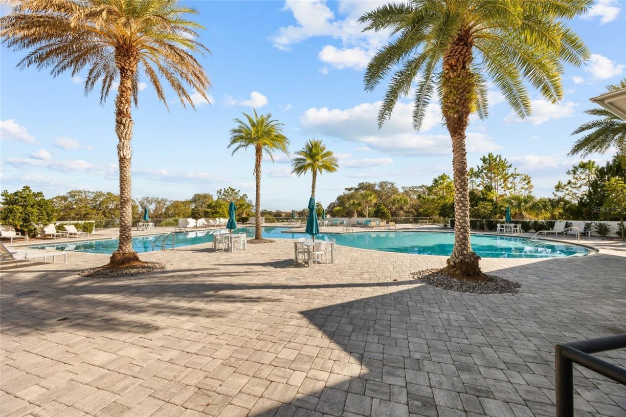 17035 Harbor Oak Parkway, Winter Garden, FL 34787 Photo