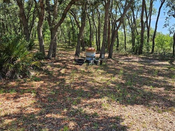 4300 W ROADRUNNER COURT , HOMOSASSA, FL 34446