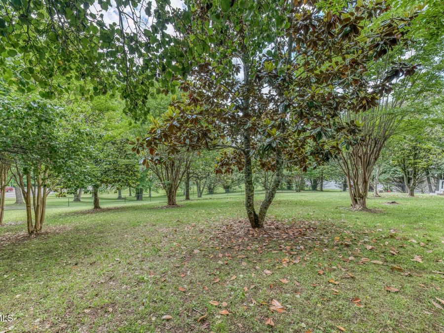Property Image 62