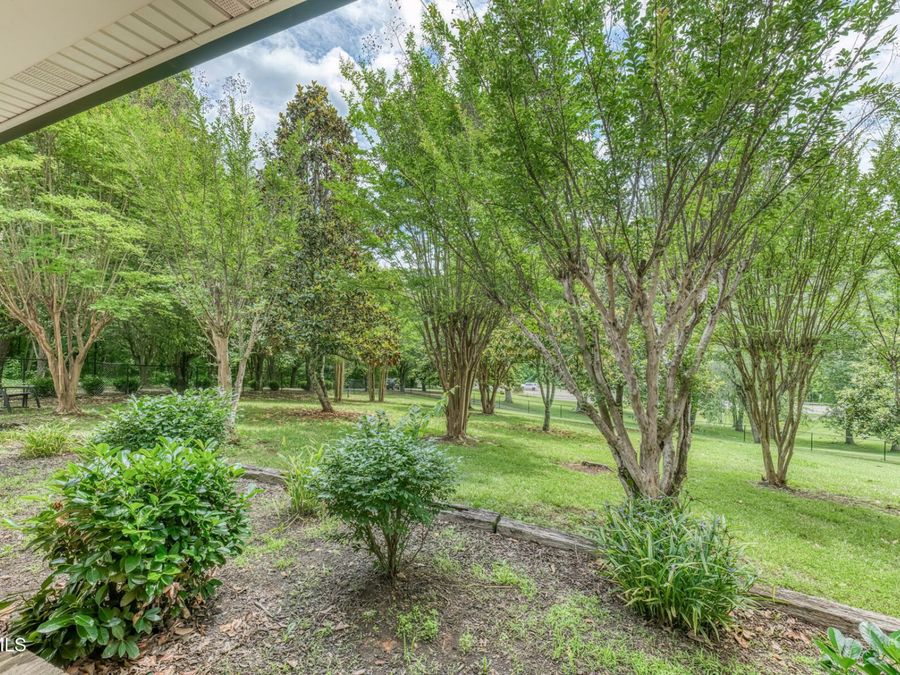 Property Image 63