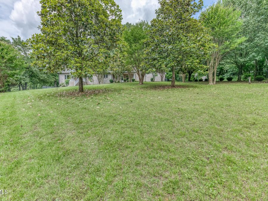 Property Image 66