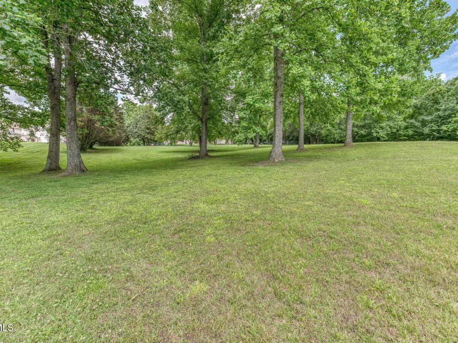 Property Image 77