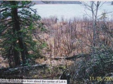 4xxxx Moose Bay Trail , Northome, MN 56661