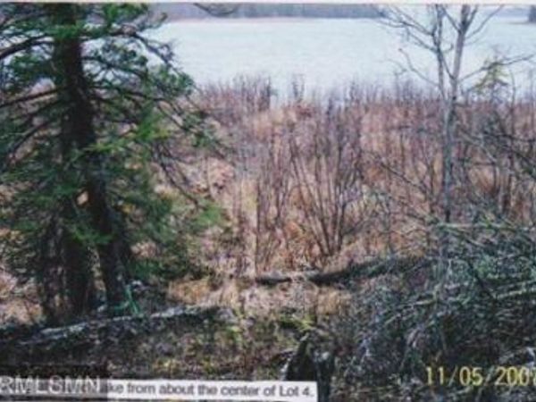 5xxxx Moose Bay Trail , Northome, MN 56661