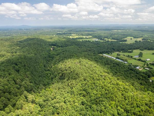 Ragweed Valley Road , Royal, AR 71968