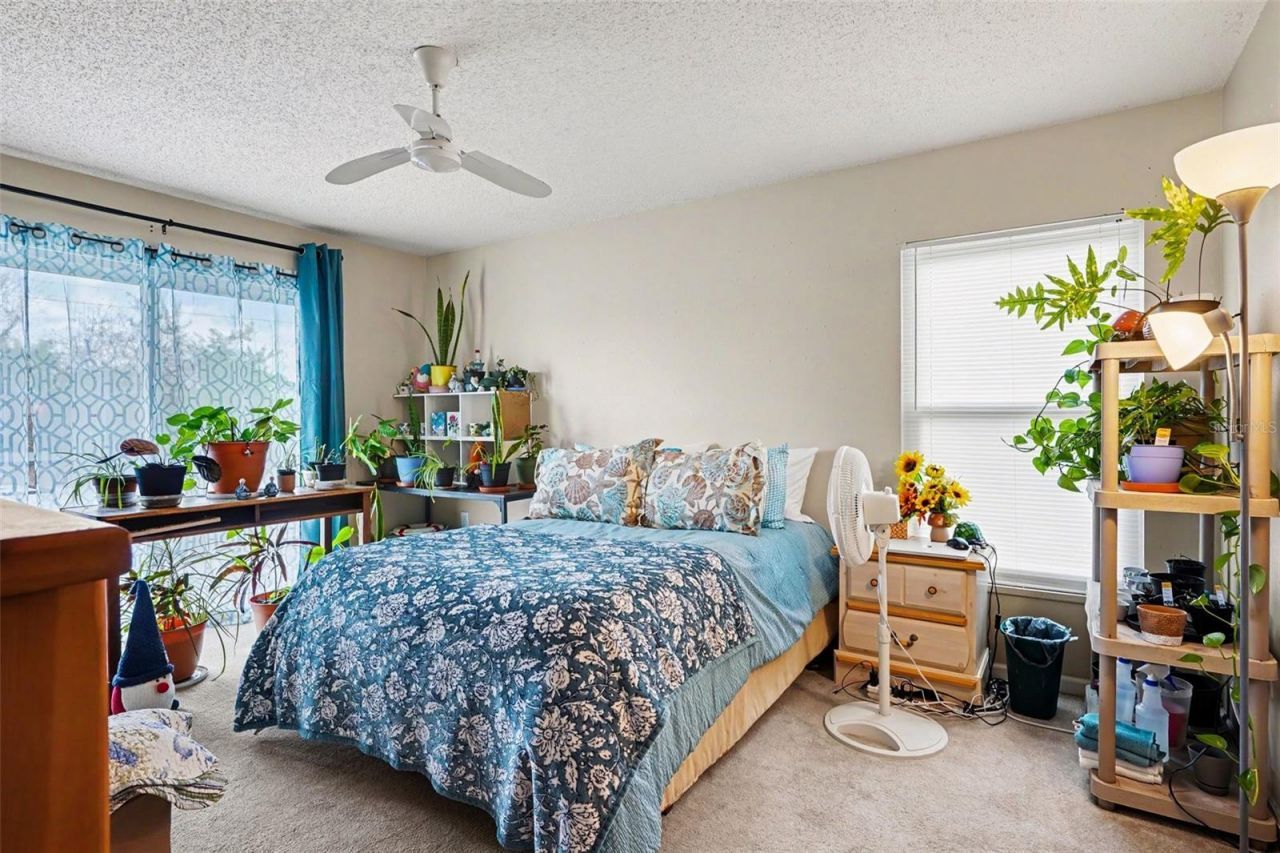 335 Tracy Way , Lakeland, FL 33809 Photo