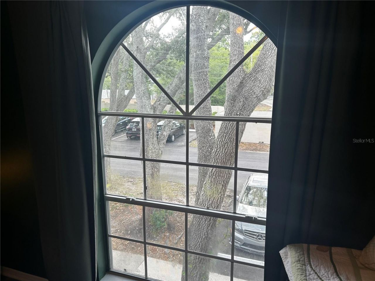 2118 Fletchers Point Circle , Tampa, FL 33613 Photo