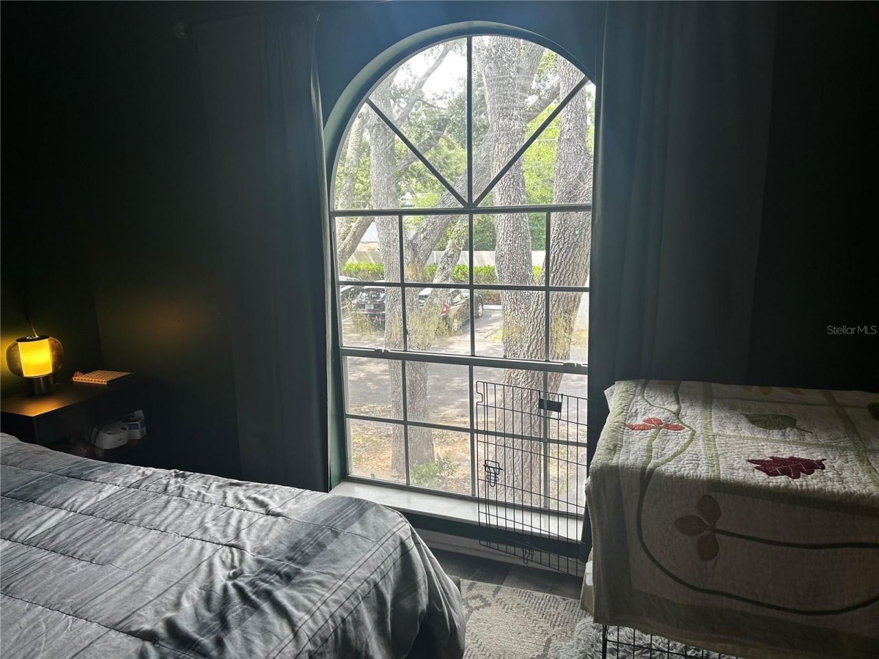 2118 Fletchers Point Circle , Tampa, FL 33613 Photo