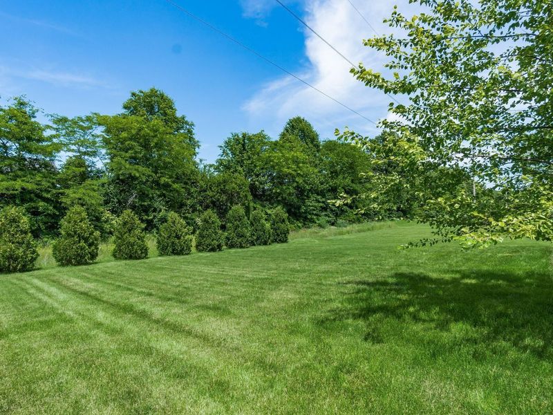 6409 Brookview Manor Drive, Galena, OH 43021 Photo 77