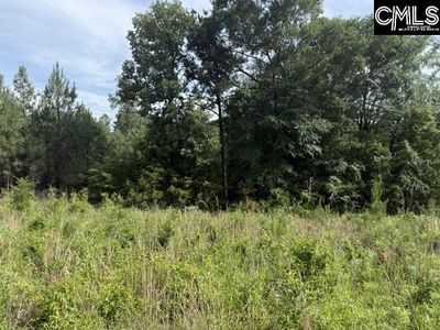 0 Old Jolleystreet Road , Prosperity, SC 29127