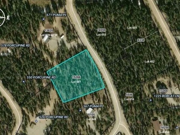 587 Puma Place , Fairplay, CO 80440