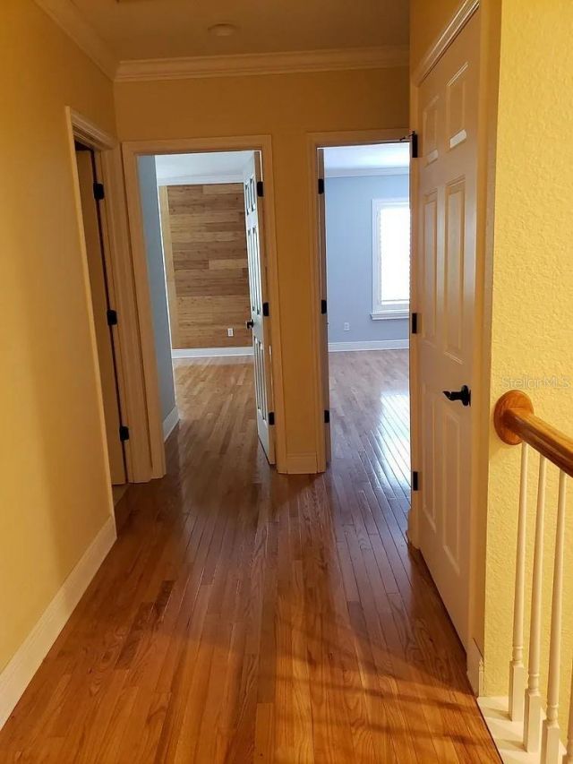 2889 Bayshore Trails Drive , Tampa, FL 33611 Photo