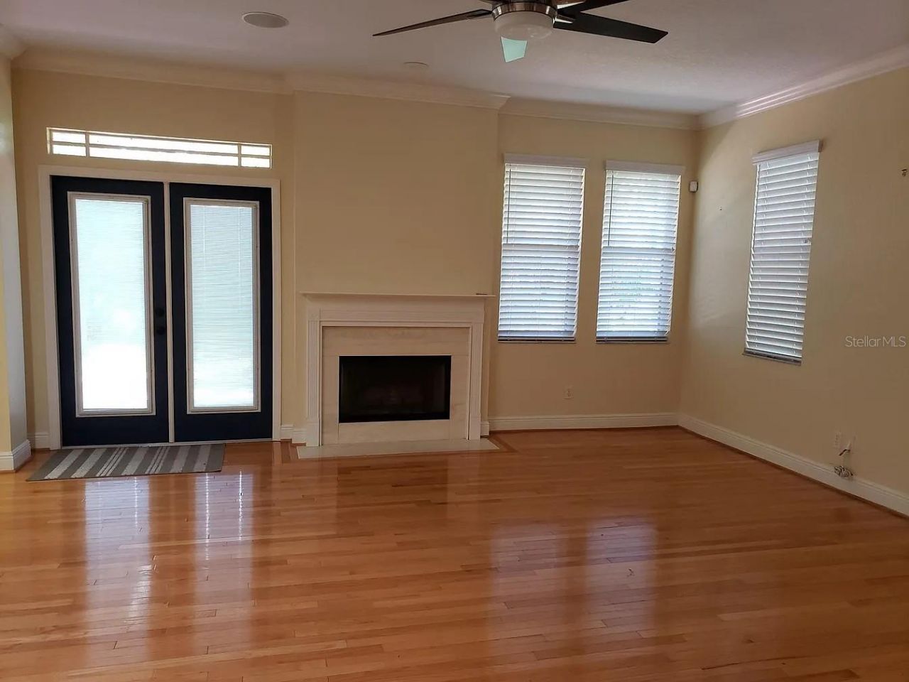 2889 Bayshore Trails Drive , Tampa, FL 33611 Photo