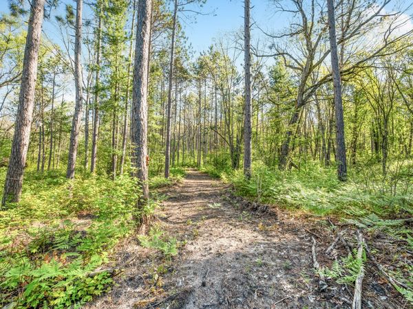 V/L Nelson St, Baldwin, MI 49304