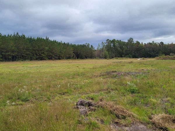 88 Rogers Break Road, Jesup, GA 31546