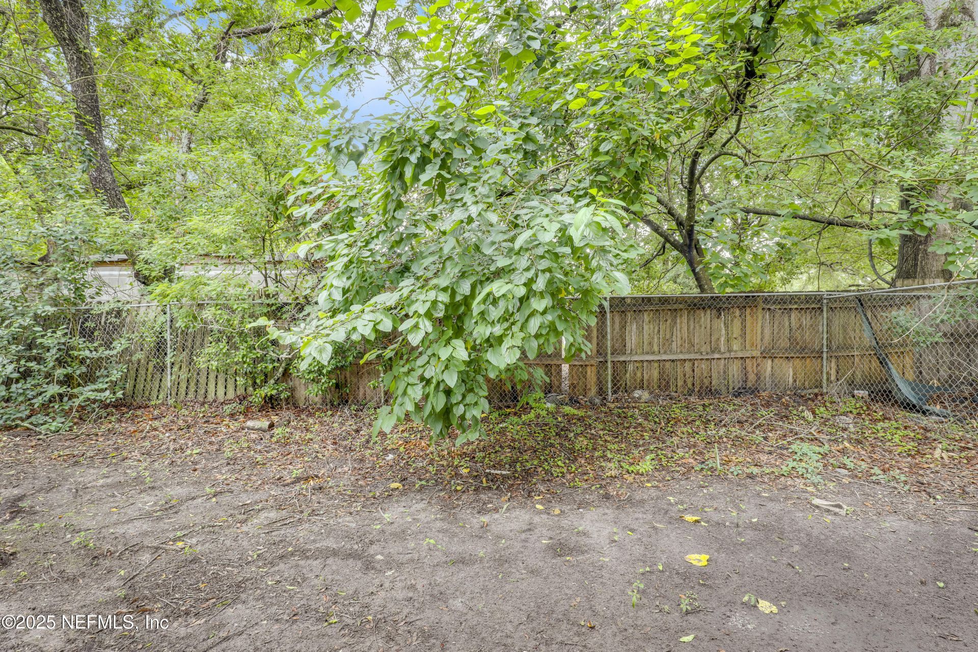 1524 W 21st Street, Jacksonville, FL 32209 Photo
