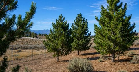 1925 Jungo Court, Gardnerville, NV 89410 Photo
