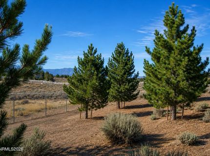 1925 Jungo Court, Gardnerville, NV 89410 Photo