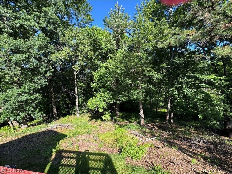34731 Krieg Ridge Road, Sardis, OH 43946 Photo 15