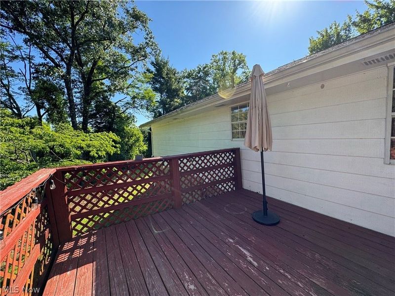34731 Krieg Ridge Road, Sardis, OH 43946 Photo 16
