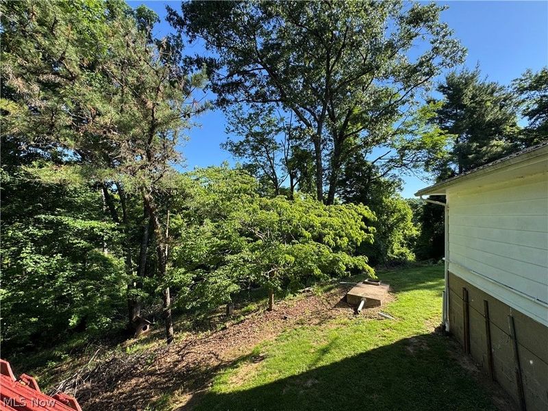 34731 Krieg Ridge Road, Sardis, OH 43946 Photo 17