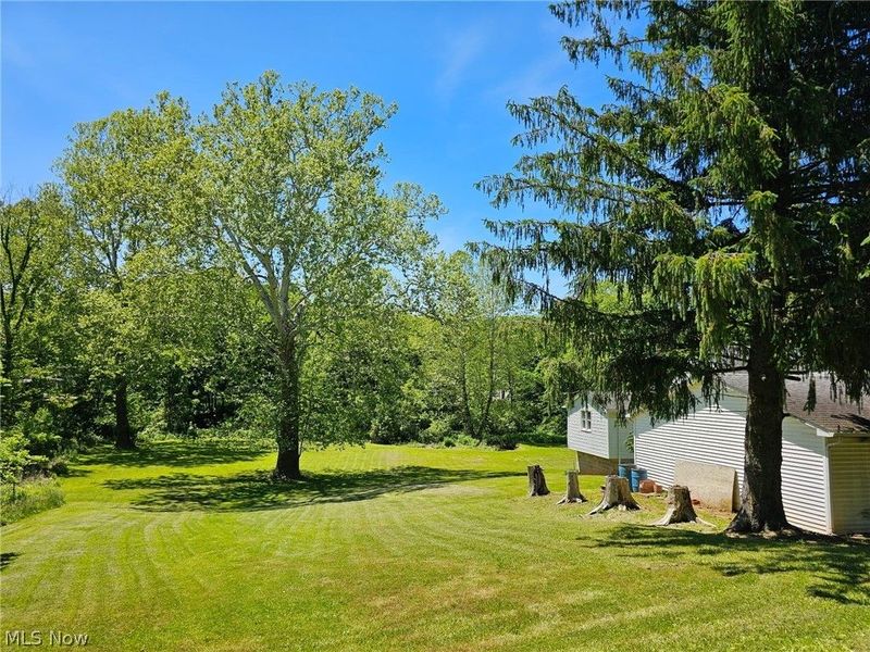 201 Ridgewood Drive, Amsterdam, OH 43903 Photo 18