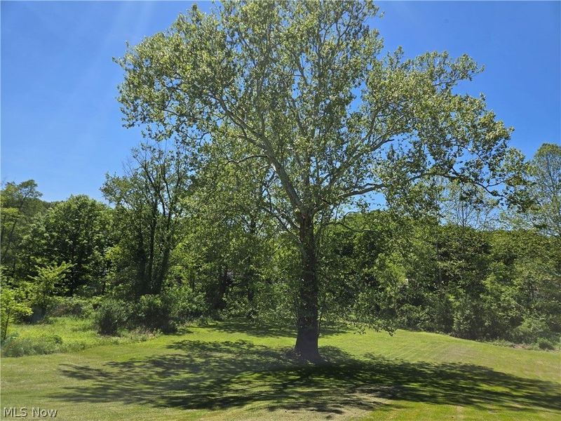 201 Ridgewood Drive , Amsterdam, OH 43903 Photo 4