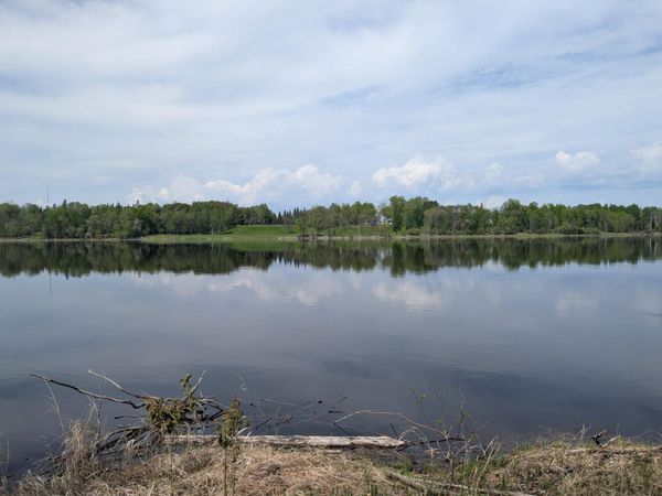 TBD Town Road 117 , Baudette, MN 56623