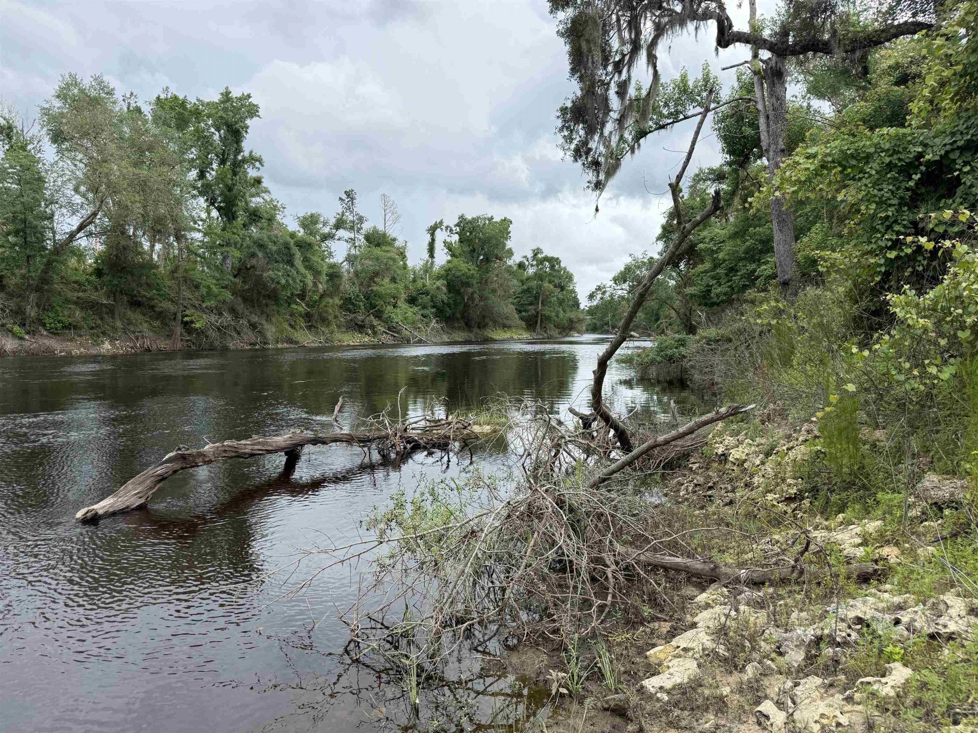 0000 NE Chervil Drive , Lee, FL 32059 Photo