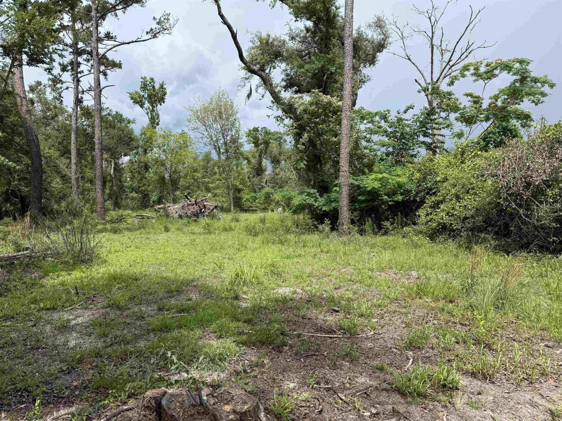 0000 NE Chervil Drive , Lee, FL 32059 Photo