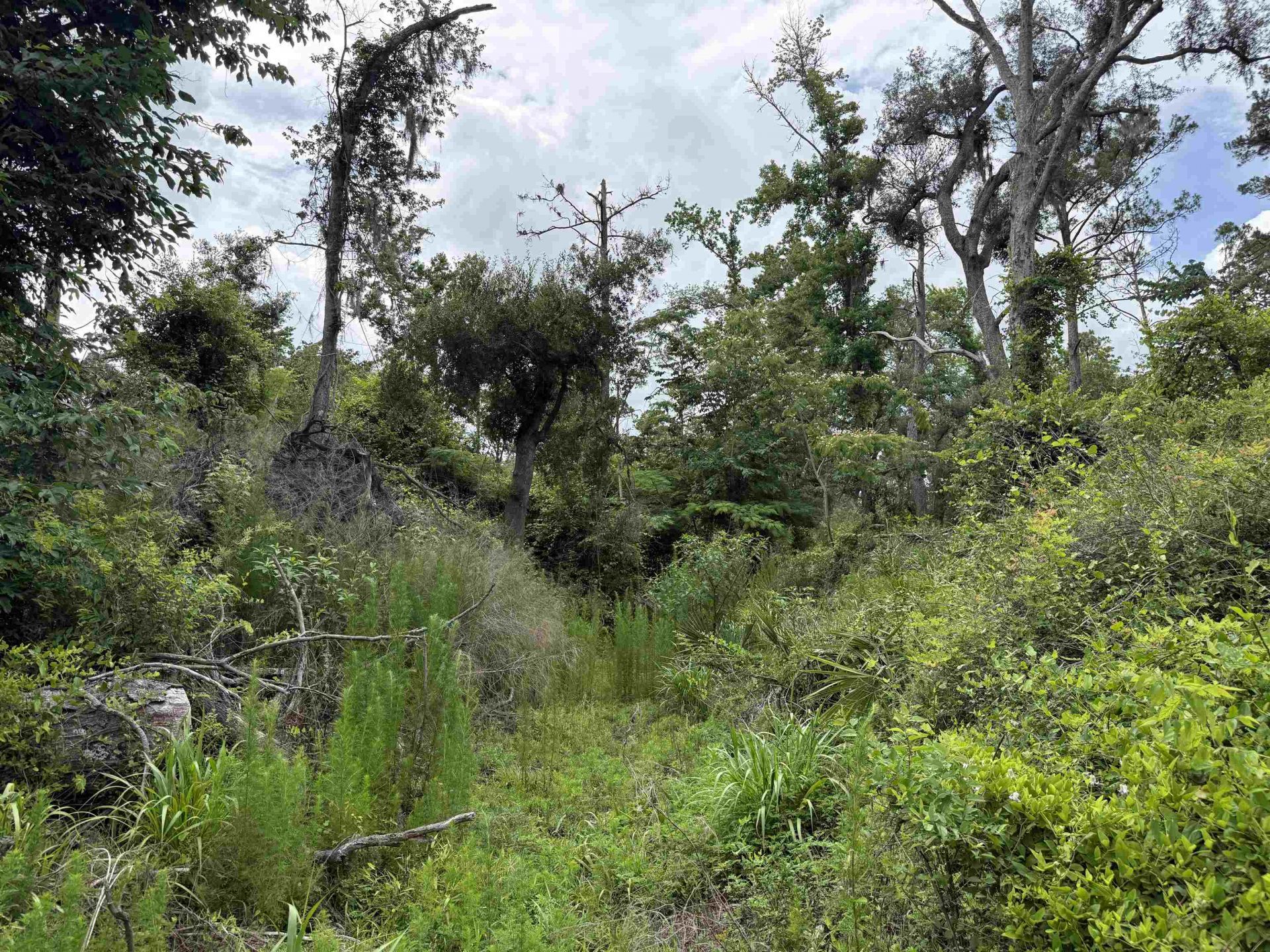 0000 NE Chervil Drive , Lee, FL 32059 Photo