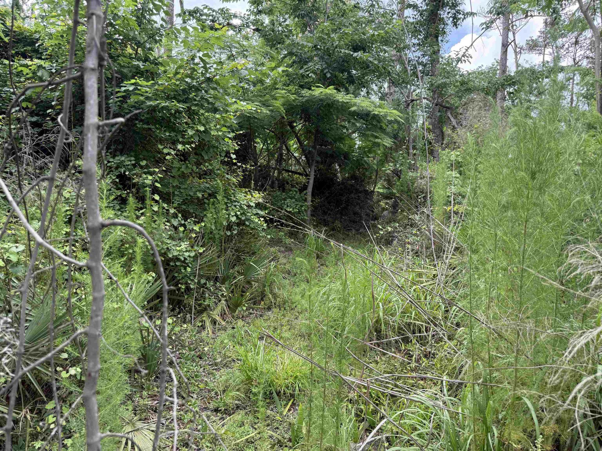 0000 NE Chervil Drive , Lee, FL 32059 Photo
