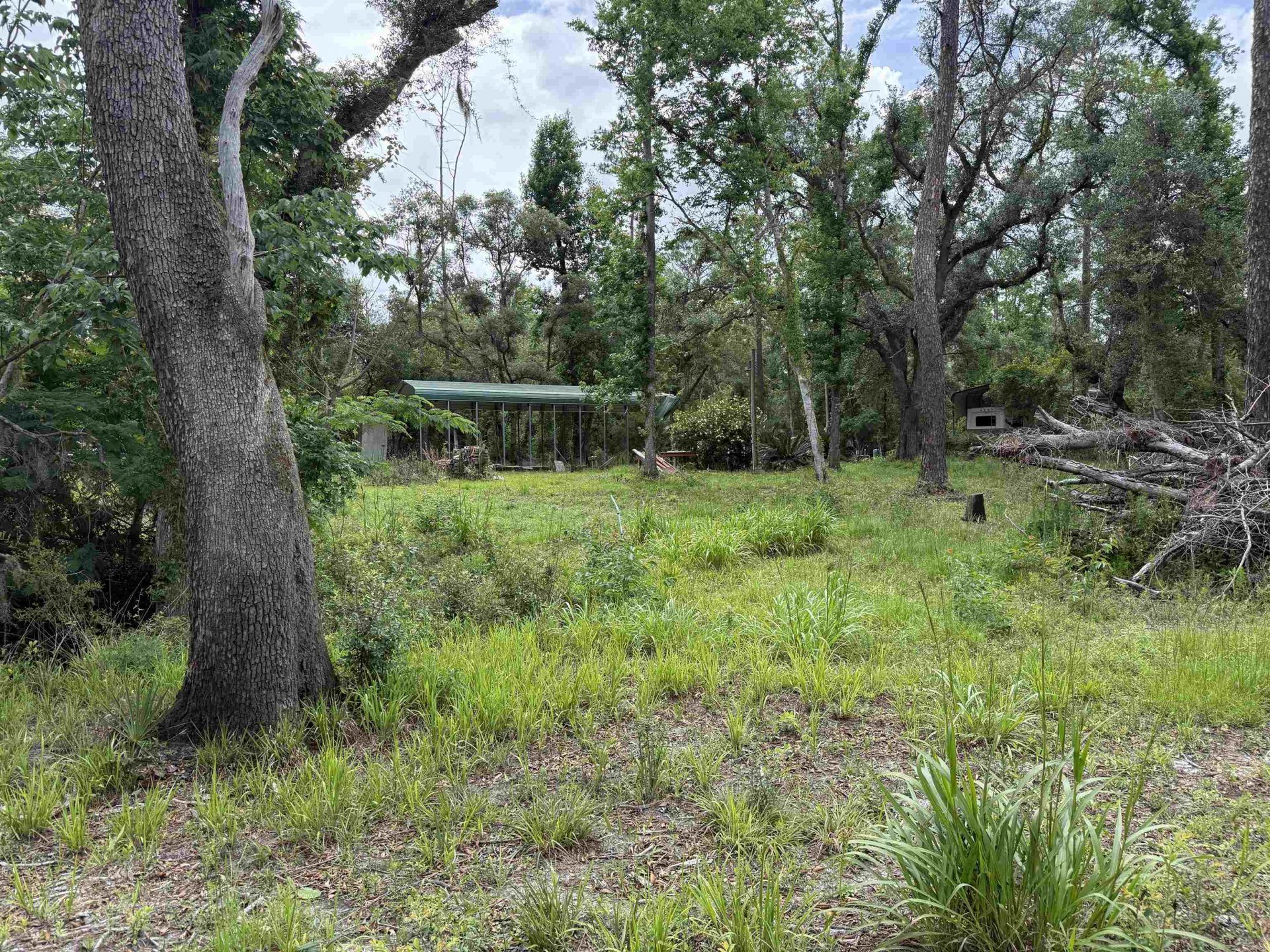 0000 NE Chervil Drive , Lee, FL 32059 Photo