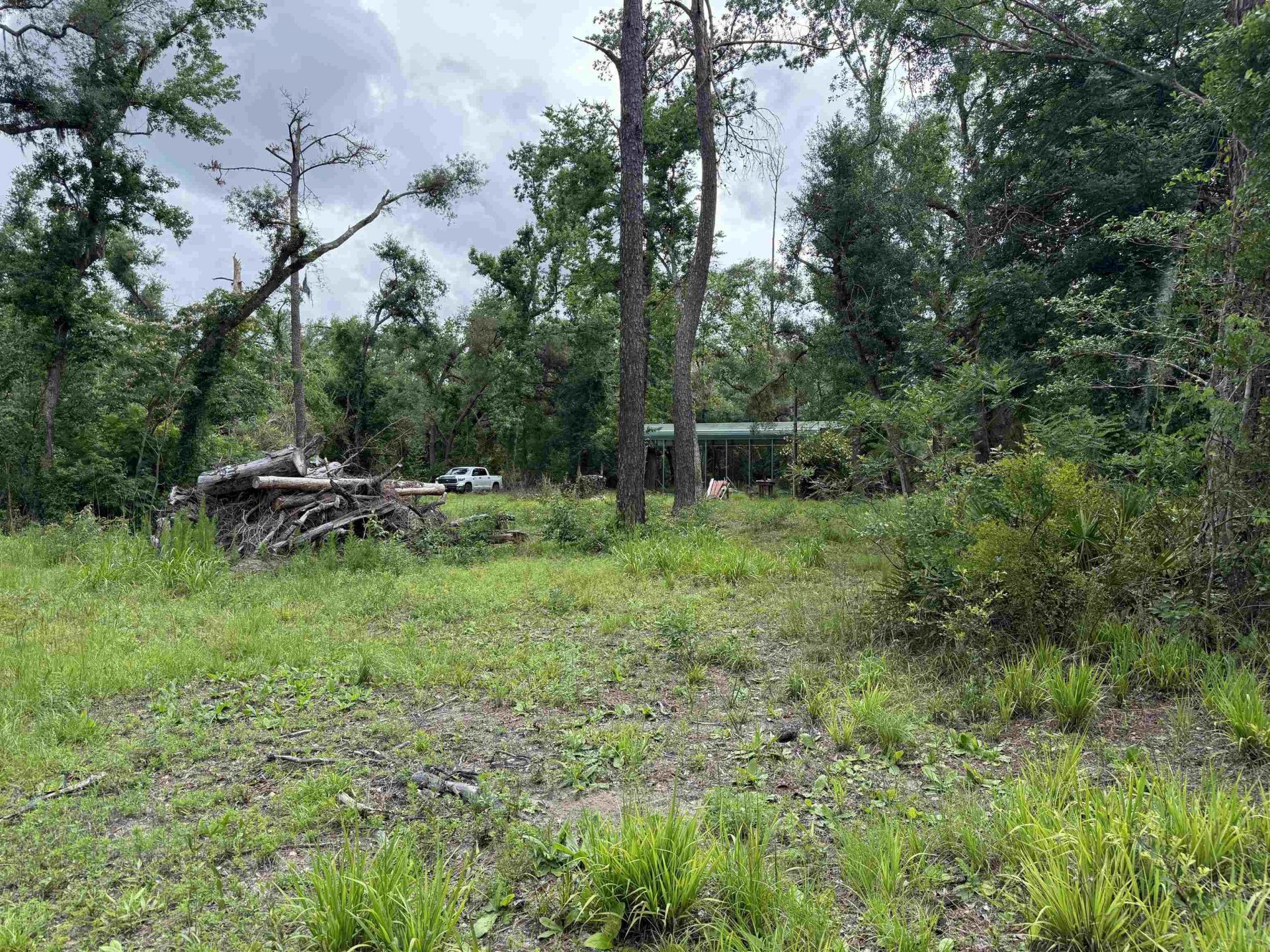 0000 NE Chervil Drive , Lee, FL 32059 Photo
