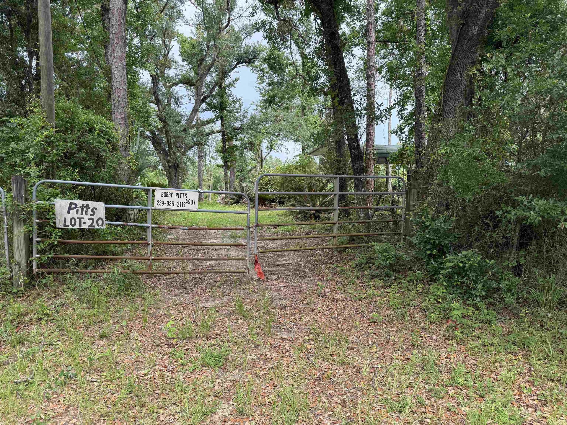 0000 NE Chervil Drive , Lee, FL 32059 Photo