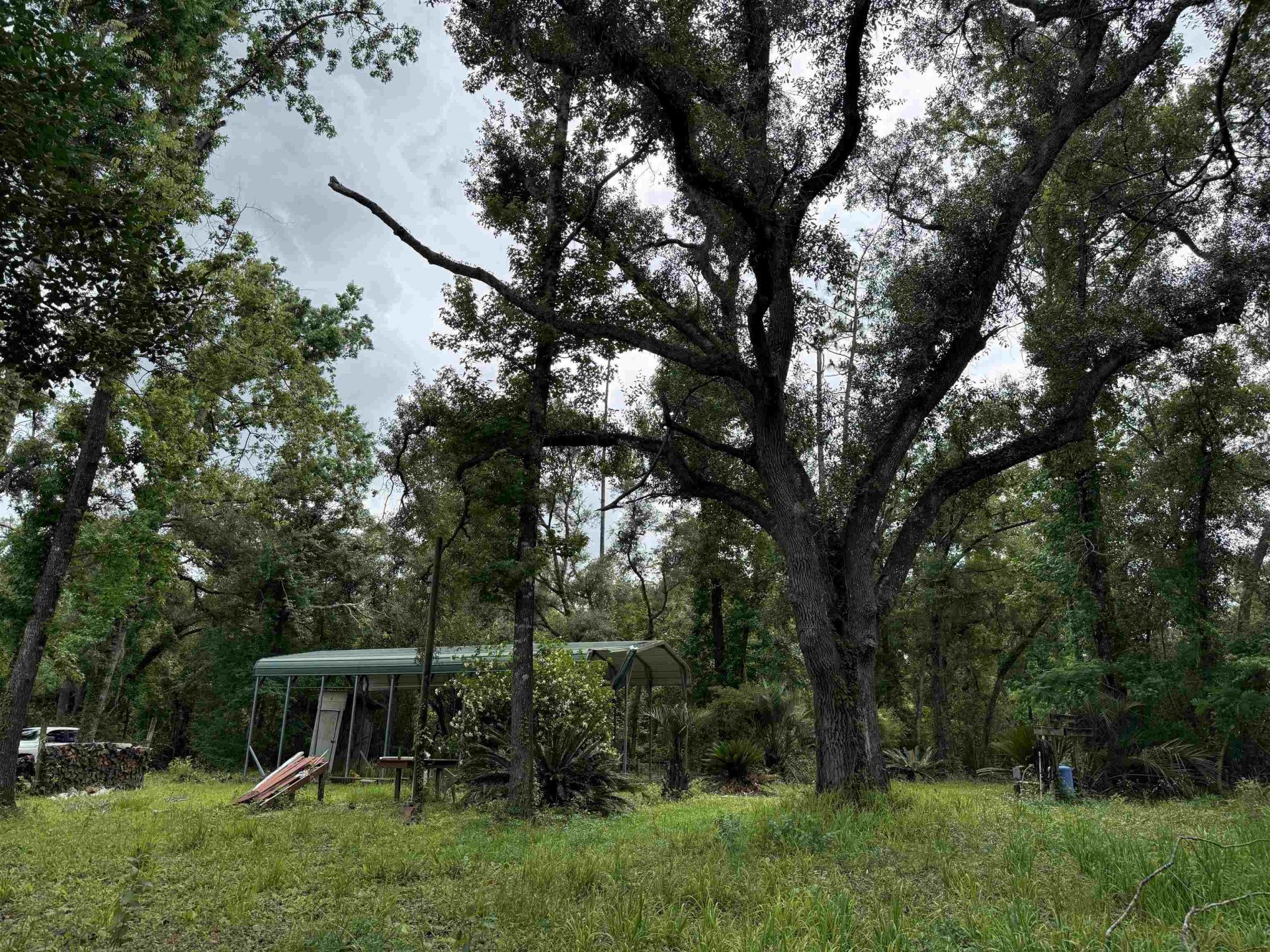 0000 NE Chervil Drive , Lee, FL 32059 Photo