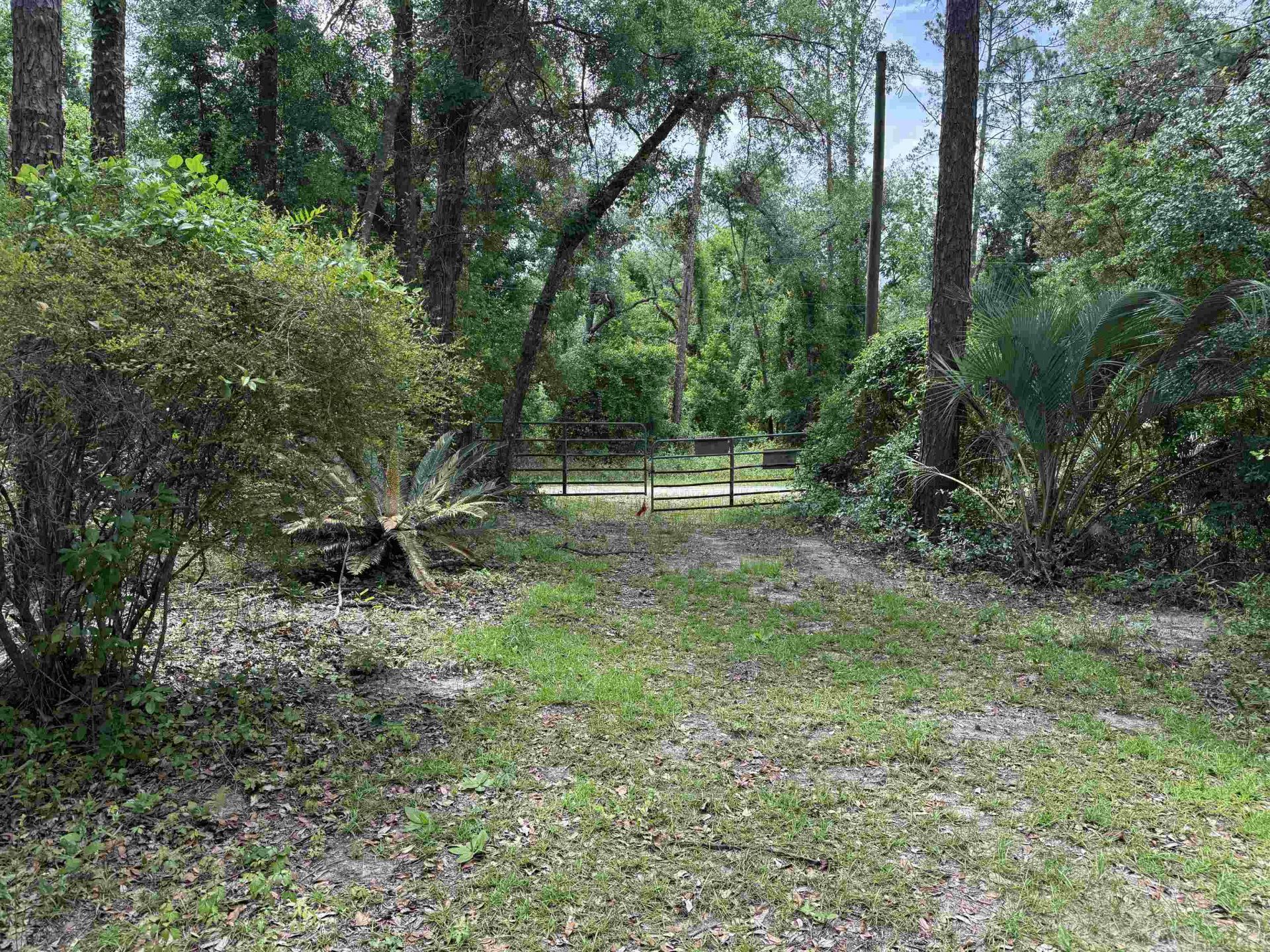 0000 NE Chervil Drive , Lee, FL 32059 Photo