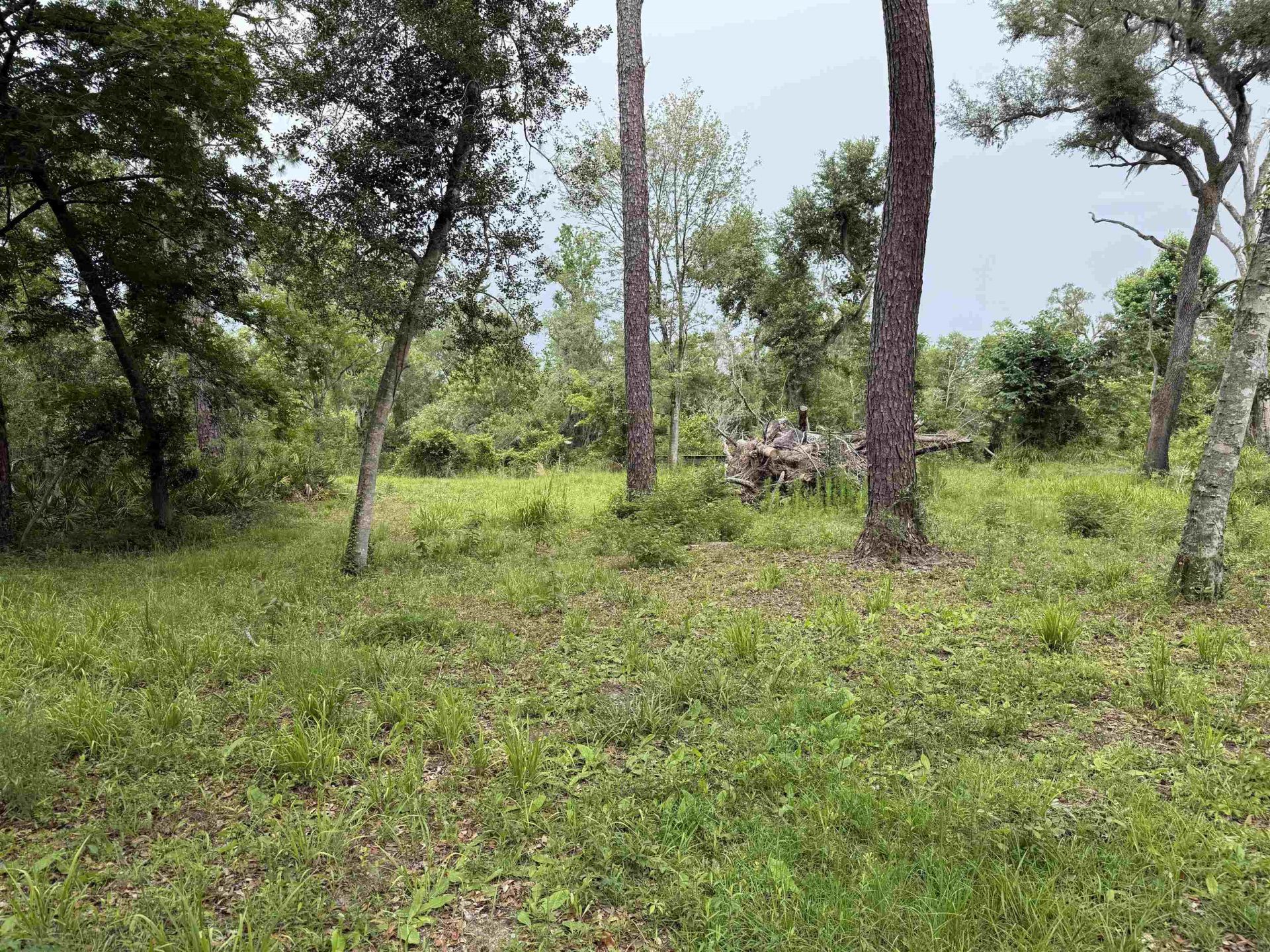 0000 NE Chervil Drive , Lee, FL 32059 Photo