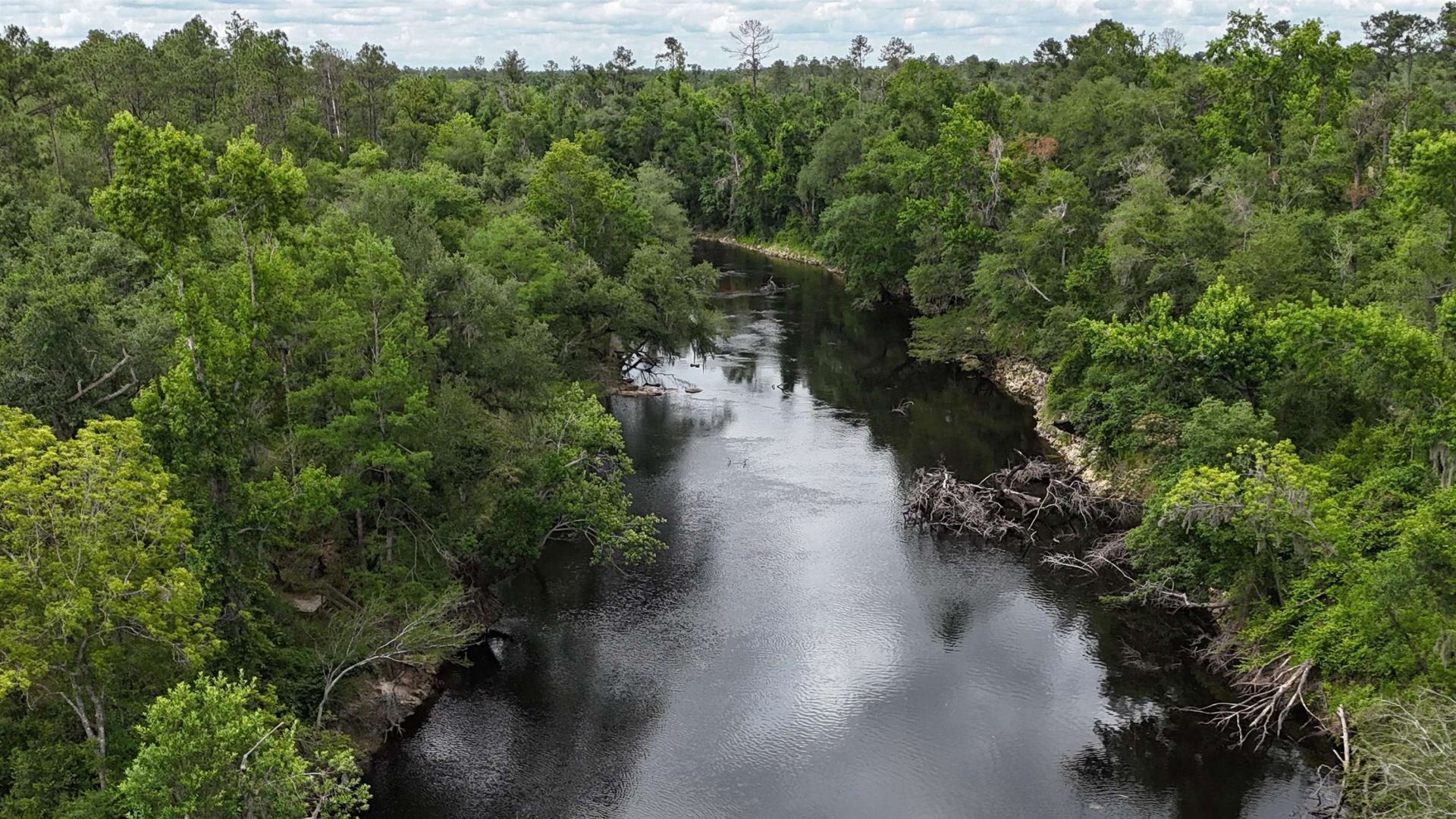 0000 NE Chervil Drive , Lee, FL 32059 Photo