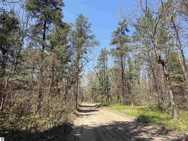 Gladys Lane E, Idlewild, MI 49642