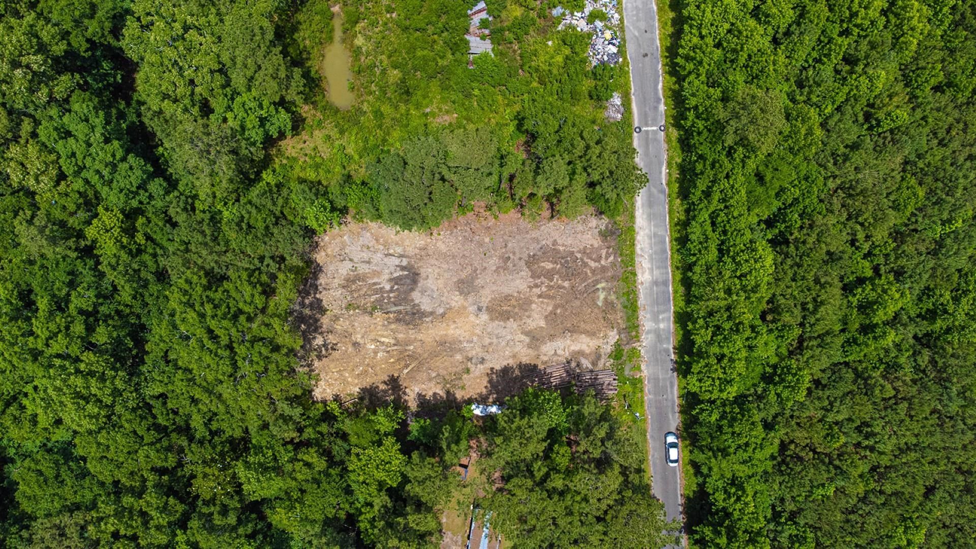 97 Hardee St.  Photo 30