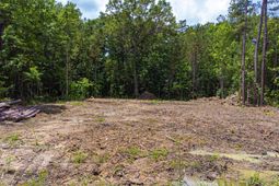 97 Hardee St.  photo 4