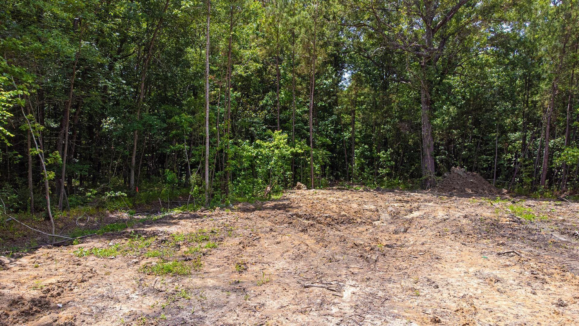 97 Hardee St.  Photo 6
