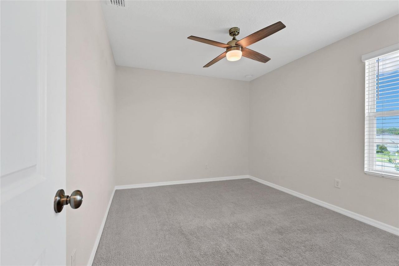 3800 Fescue Street , Clermont, FL 34714 Photo