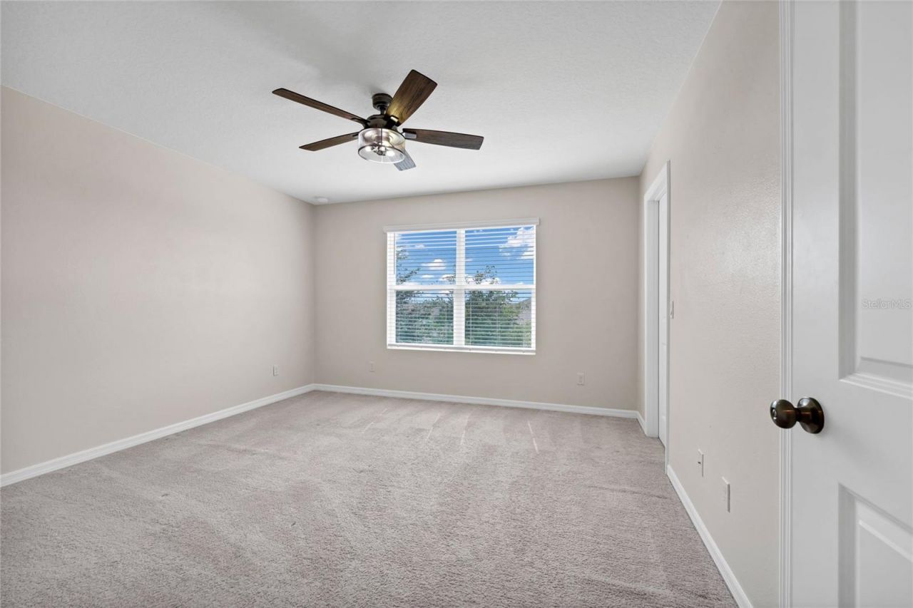 3800 Fescue Street , Clermont, FL 34714 Photo