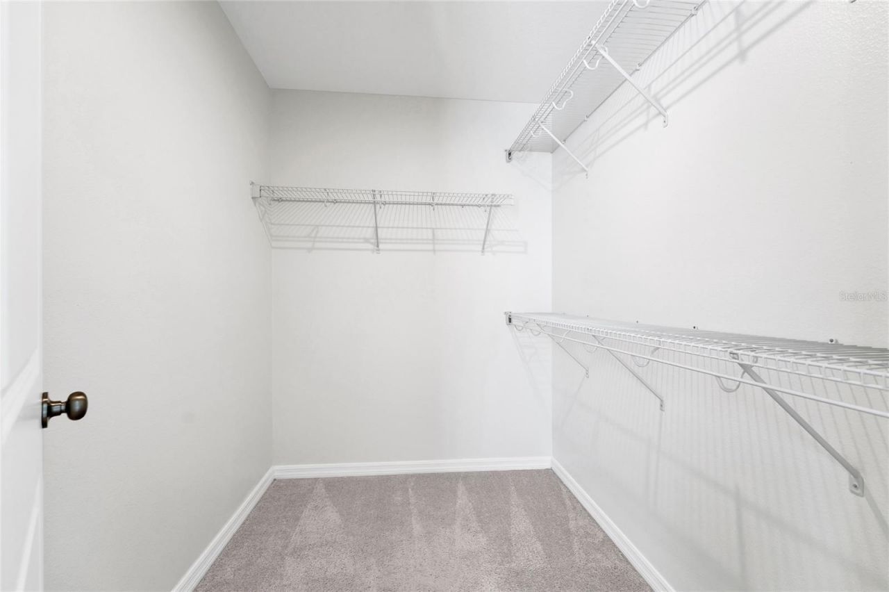 3800 Fescue Street , Clermont, FL 34714 Photo