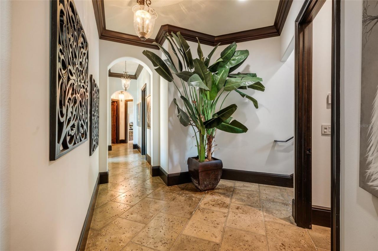 200 Brightwaters Boulevard Ne, Saint Petersburg, FL 33704 Photo